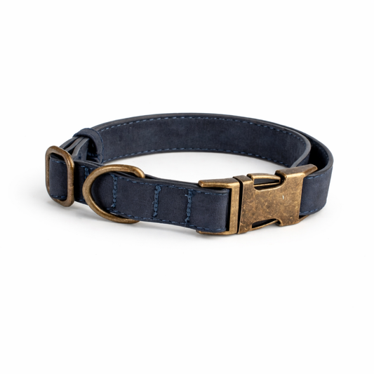 Dierboetiek Leren Halsband - Roestvrijstaal - Blauw