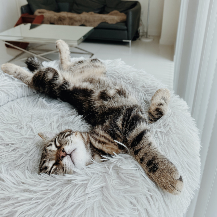 Topmast Fluffy Donut Mand - Antraciet - Diverse Maten