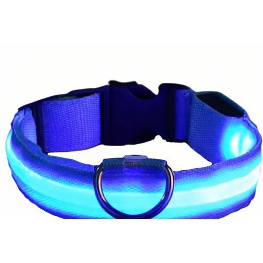 Bovista Lichtgevende Halsband - Blauw