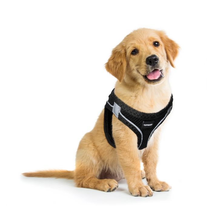 Hondentuig - Verstelbaar - Zwart