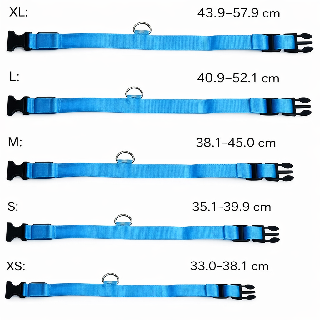 Bovista Lichtgevende Halsband - Blauw