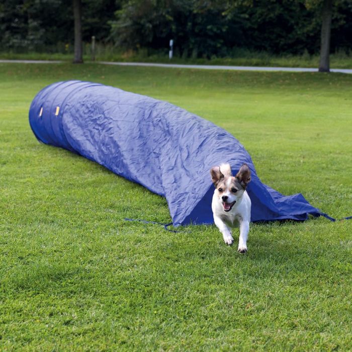 Topmast Agility Zaktunnel – 5 Meter - Voor Actieve Honden